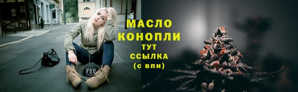 мдпв Горняк