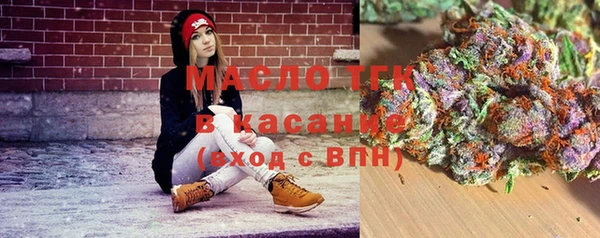 сатива Горнозаводск