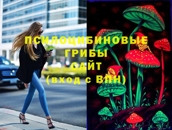 apvp Алексин