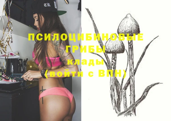 крисы Алексеевка