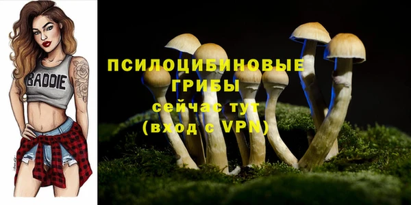 ГАЛЛЮЦИНОГЕННЫЕ ГРИБЫ Алзамай