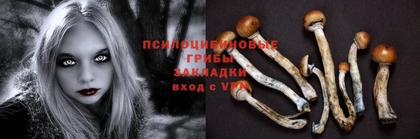 крисы Алексеевка