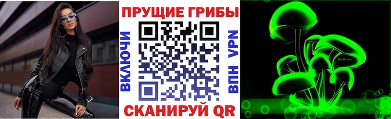 купить наркотик  Пласт  Галлюциногенные грибы Magic Shrooms 
