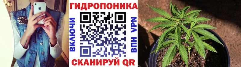Бошки марихуана сатива Пласт